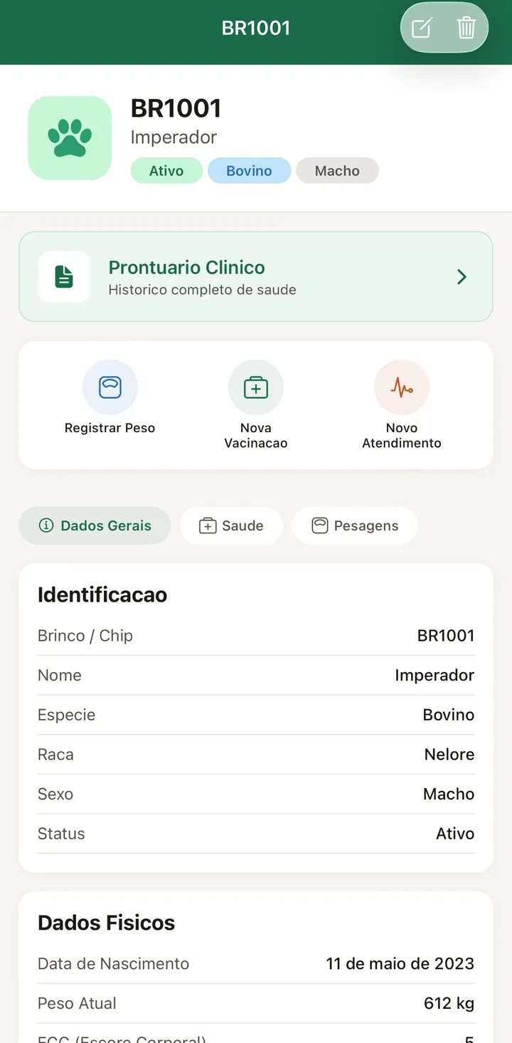 Ficha de um animal no Rumo Vet com atalhos para pesagem, vacinação e atendimento