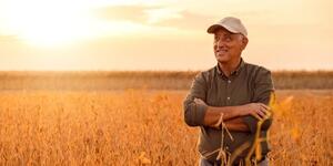 Persona 2 — Fazenda média